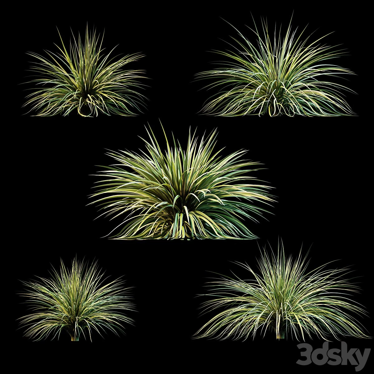Plants for exterior v3
