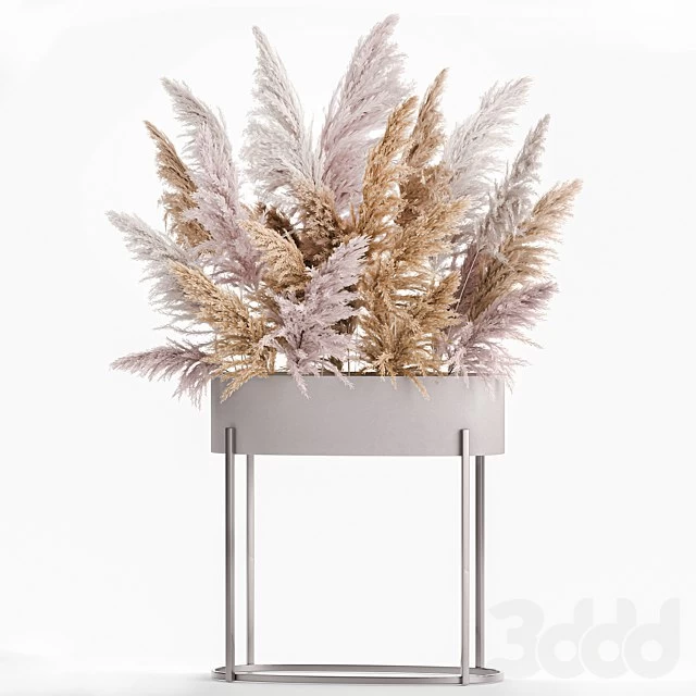 Bouquet 190. Pampas grass, vase, dried flowers, reeds, Cortaderia, branches, dry decor