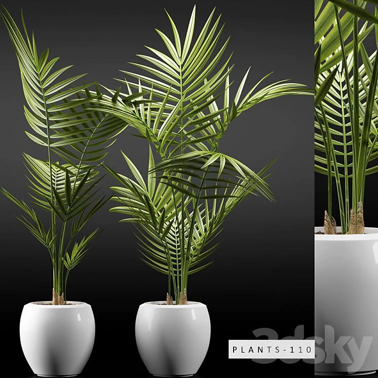 PLANTS 110