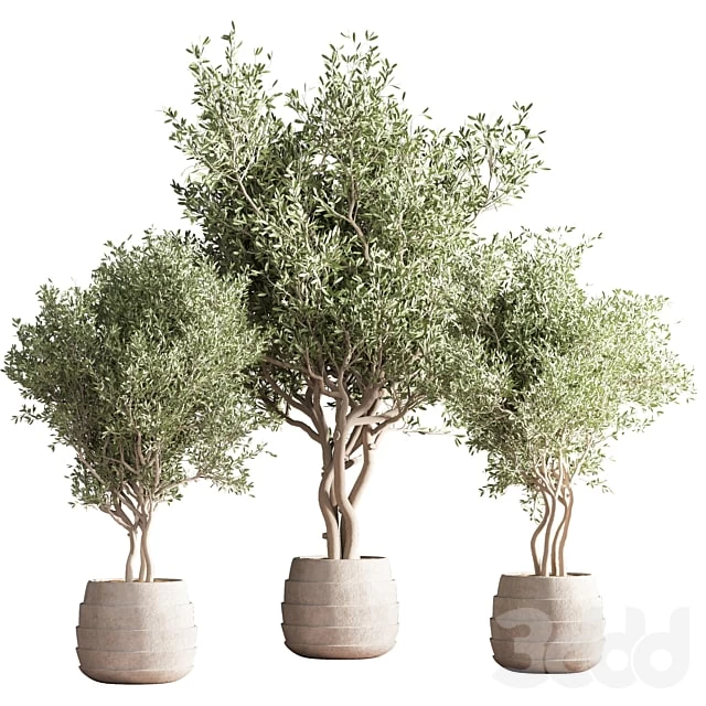 Indoor plant stand 39