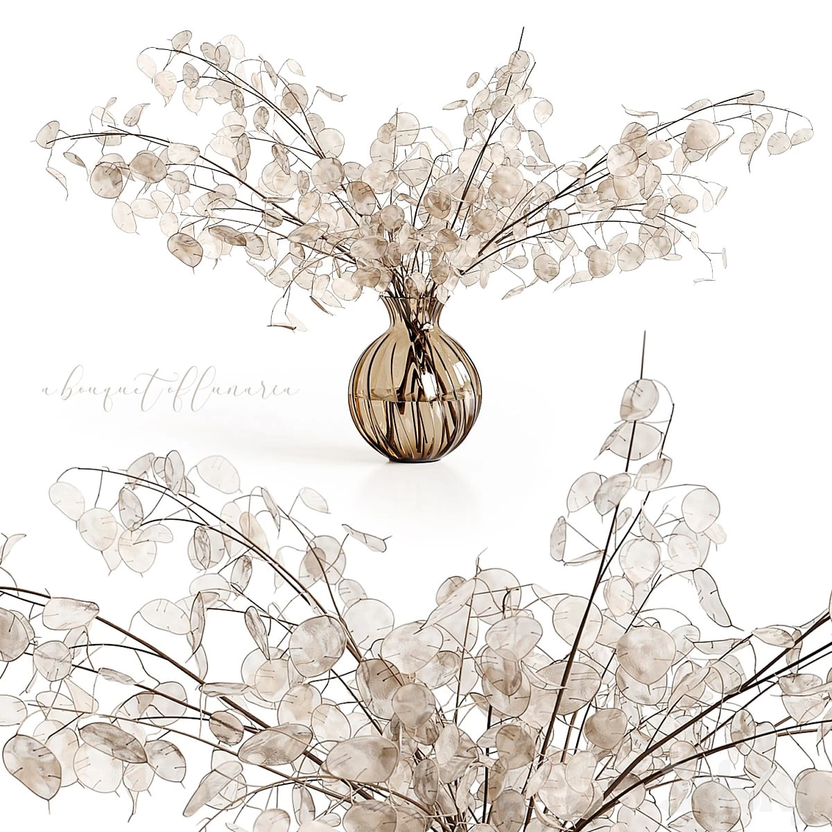 A bouquet of lunaria