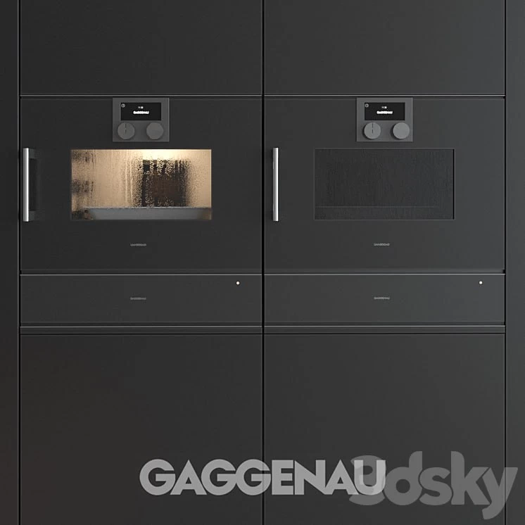 gaggenau 250