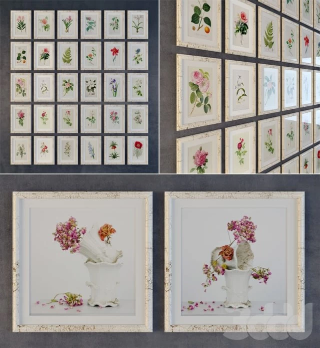 Set "Provence"