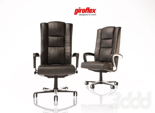 Giroflex / Leonardo