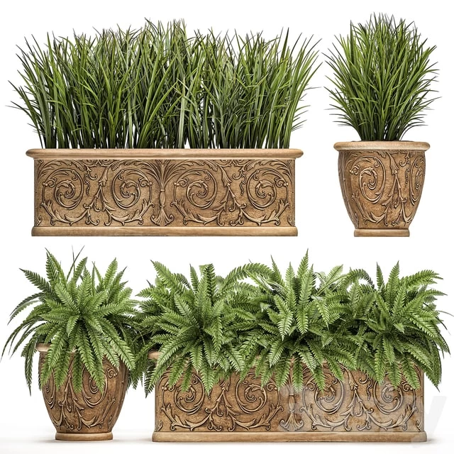 Plant Collection 496. fern, bushes, classic flowerpot, landscaping, outdoor pots, for garden, park