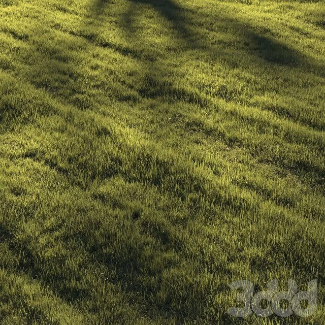3060472.5f7c3575b25e4
