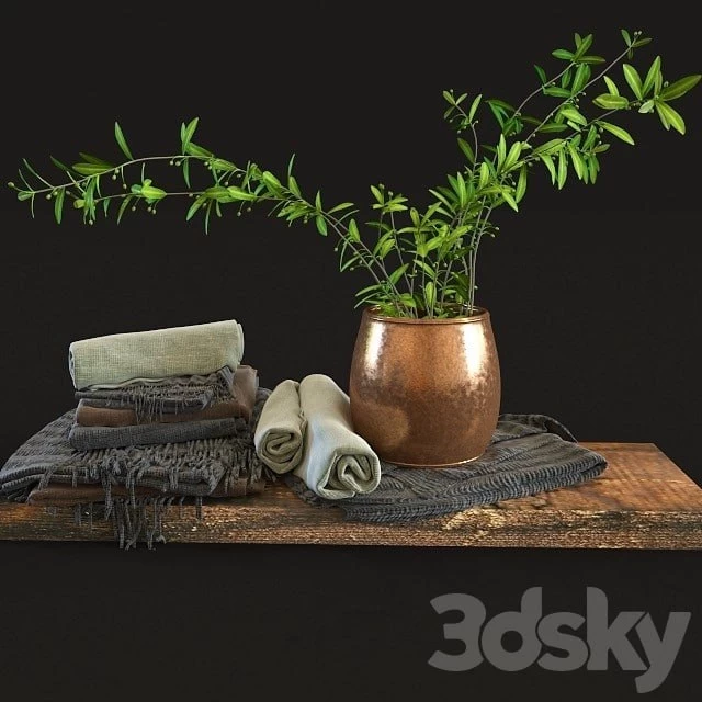 Olive set
