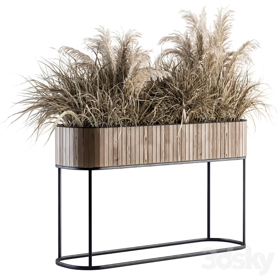indoor Plant Set 122- Dried Plants in Wood Stand