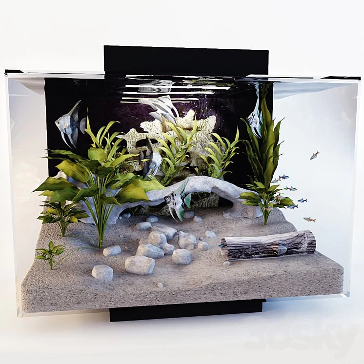 Aquarium