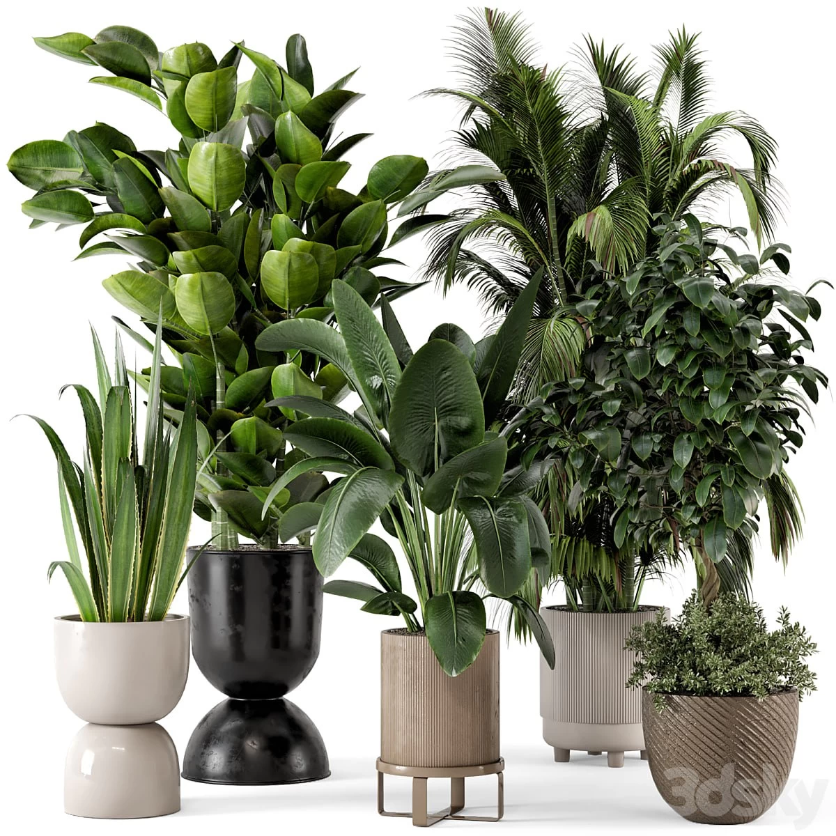 Indoor Plants in Ferm Living Bau Pot Large - Set 290
