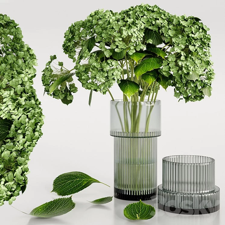Set bouquet Hydrangea
