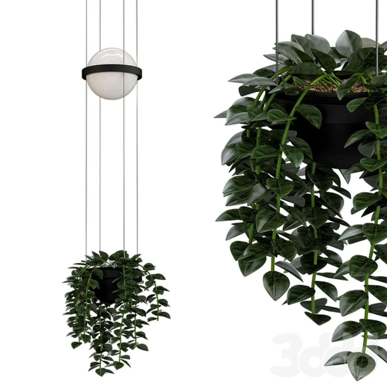 palma_pendant