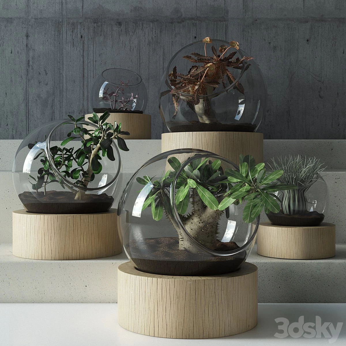 plant in glass
