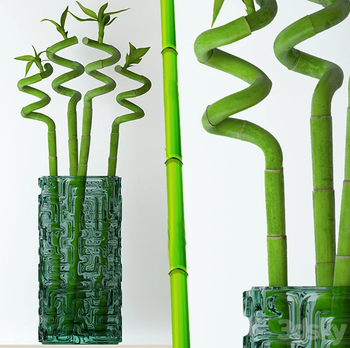 Home bamboo