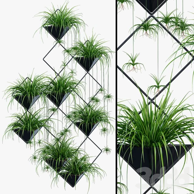 Ikebana one