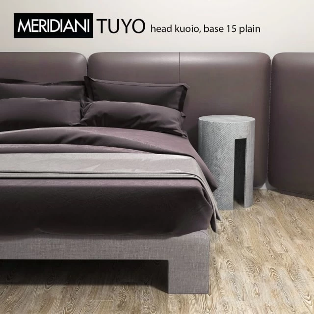 MERIDIANI TUYO head kuoio