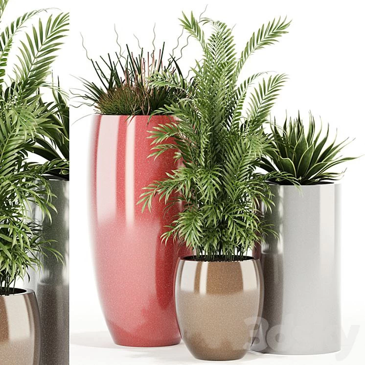Plants collection 100 Awesomeplanters