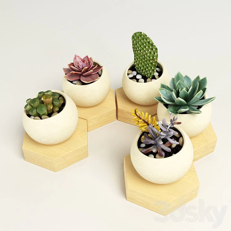 color set 2