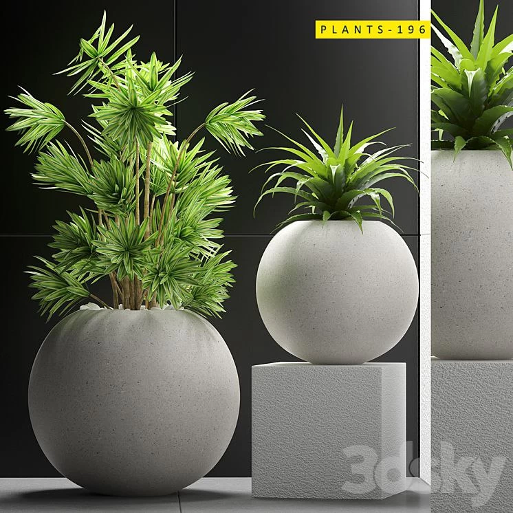 Plants 196